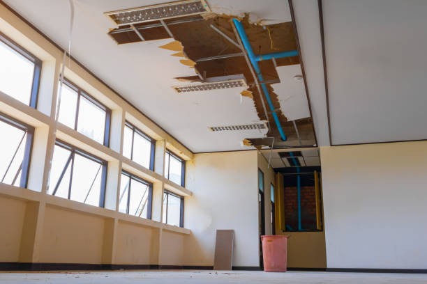Best Sewage cleanup and water damage restoration  in Kinnelon, NJ
