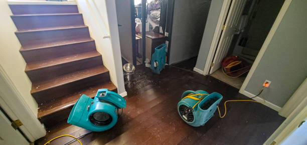  Kinnelon, NJ Water damage restoration Pros