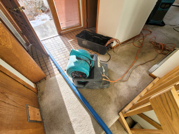 Best Fire Damage Restoration  in Kinnelon, NJ