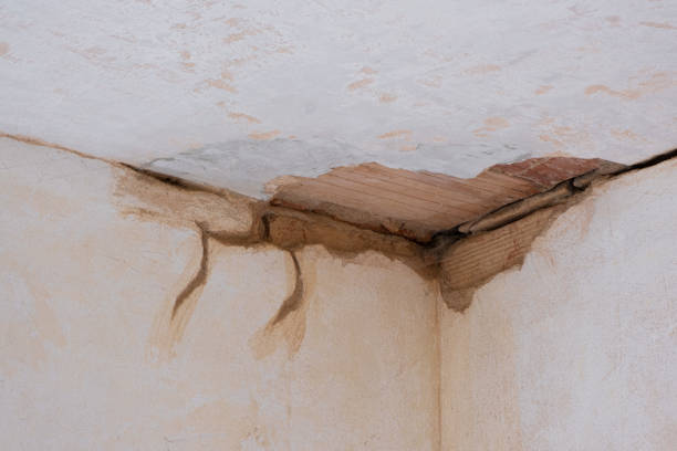 Best Ceiling water damage repair  in Kinnelon, NJ