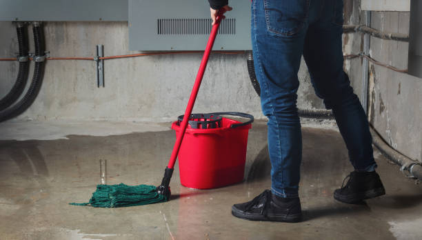 Best Flood damage cleanup  in Kinnelon, NJ