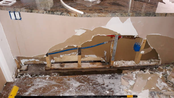 Best Ceiling water damage repair  in Kinnelon, NJ