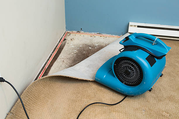 Best 24-hour water damage restoration  in Kinnelon, NJ
